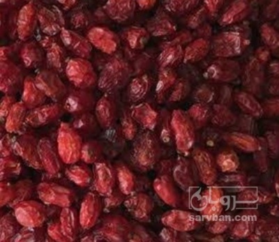 فروش زرشک زیر تالاری