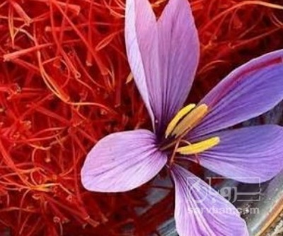 فروش زعفران (گیاه‌ دارویی)