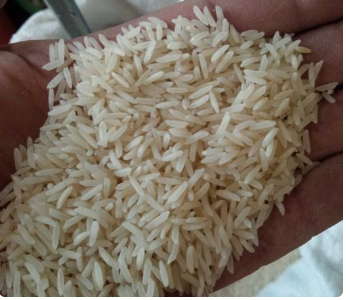 فروش برنج پاکستانی