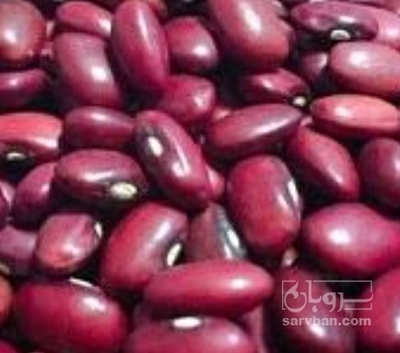 فروش لوبیا قرمز