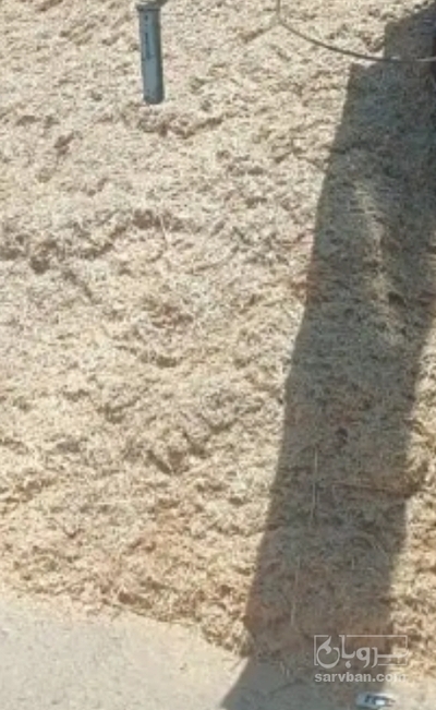 فروش کاه و کلش گندم