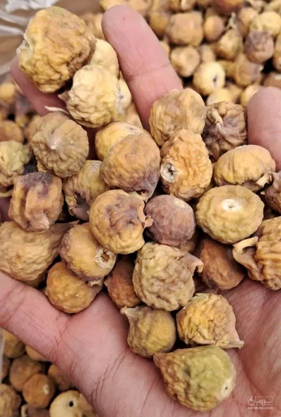 فروش انجیر