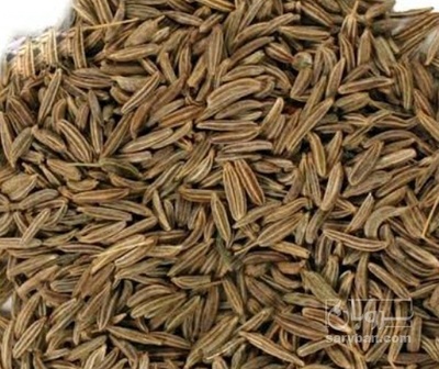 فروش زیره (گیاه‌ دارویی)