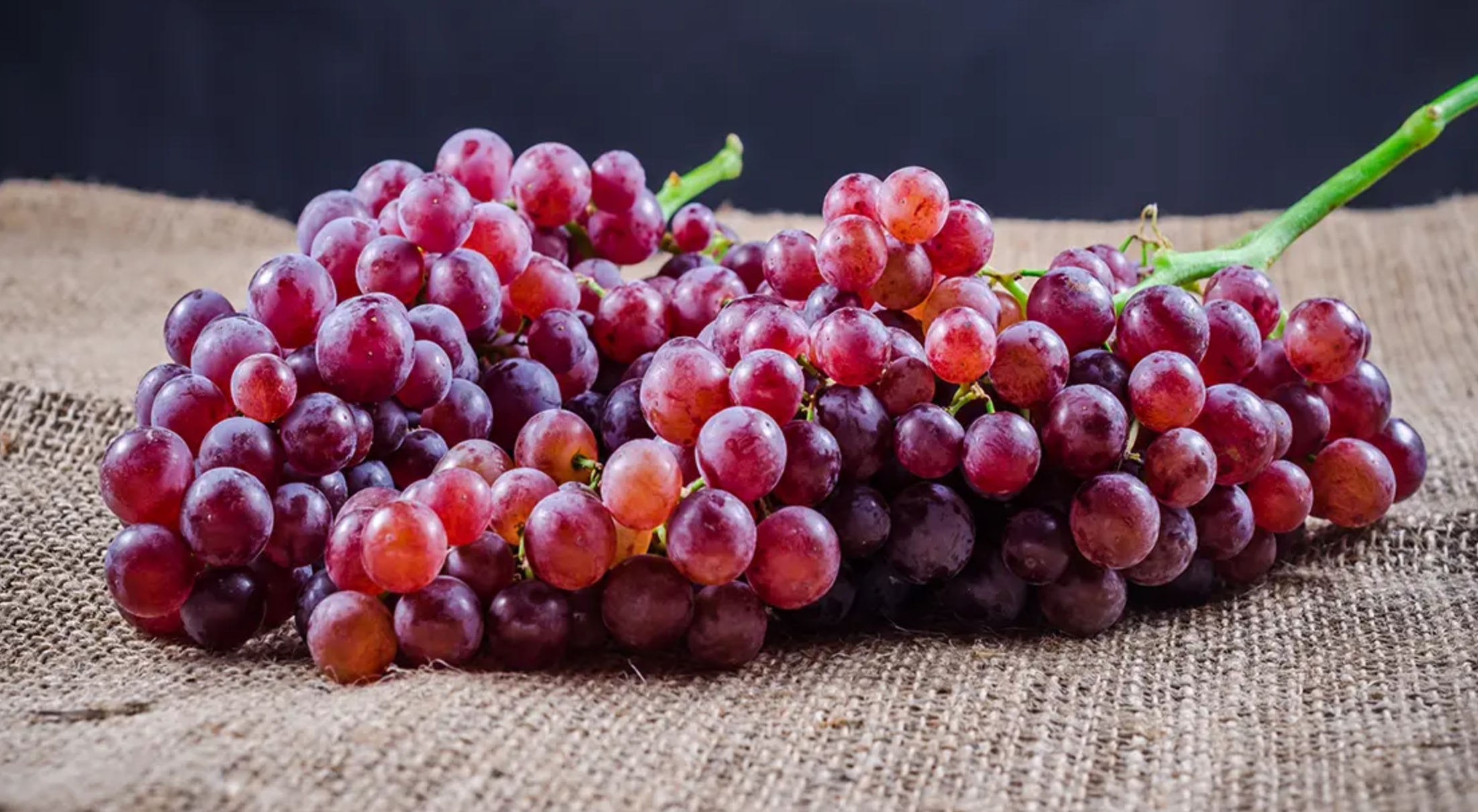 فروش انگور یاقوتی