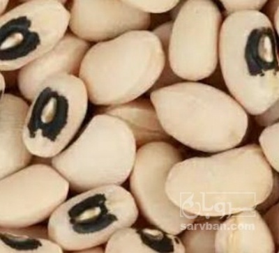 فروش لوبیا چشم بلبلی