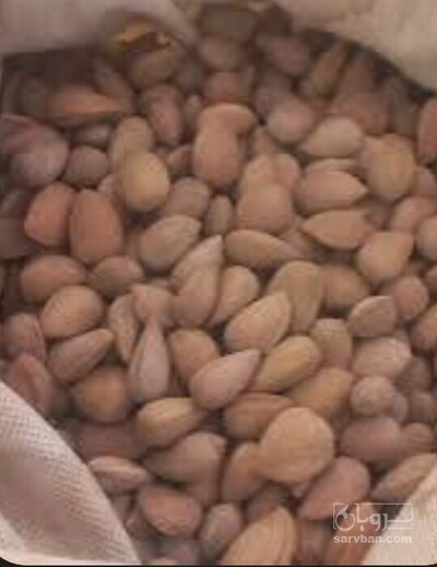 فروش بادام