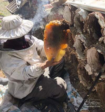 فروش عسل