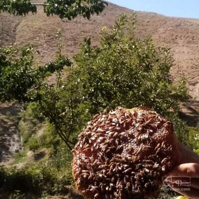 فروش عسل