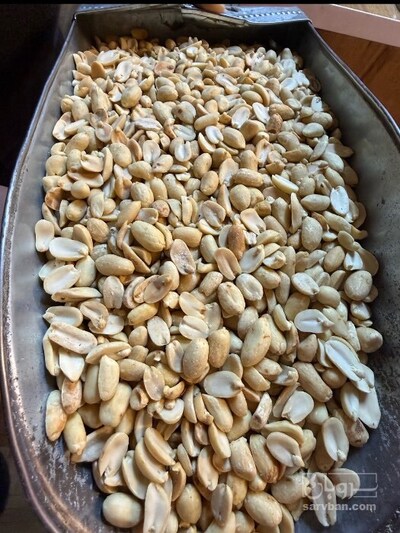فروش بادام زمینی
