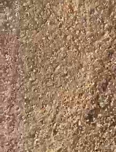 فروش کنجاله سویا