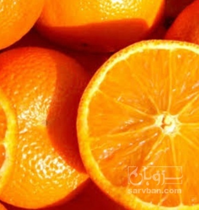 فروش پرتقال