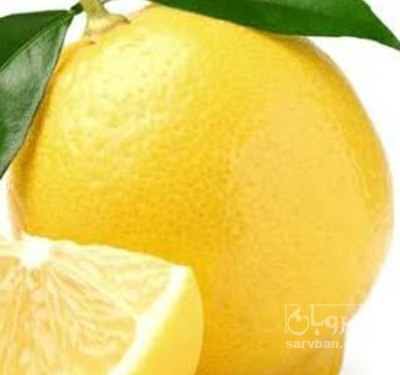 فروش لیمو شیرین