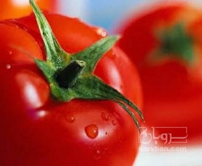 فروش گوجه فرنگی