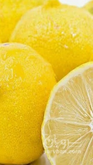 فروش لیمو شیرین