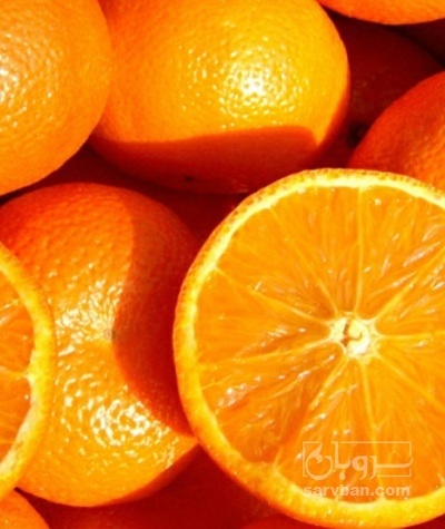 فروش پرتقال