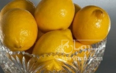 فروش لیمو ترش