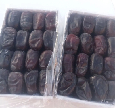 فروش خرما