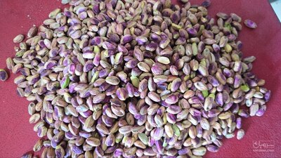 فروش مغز پسته سالم
