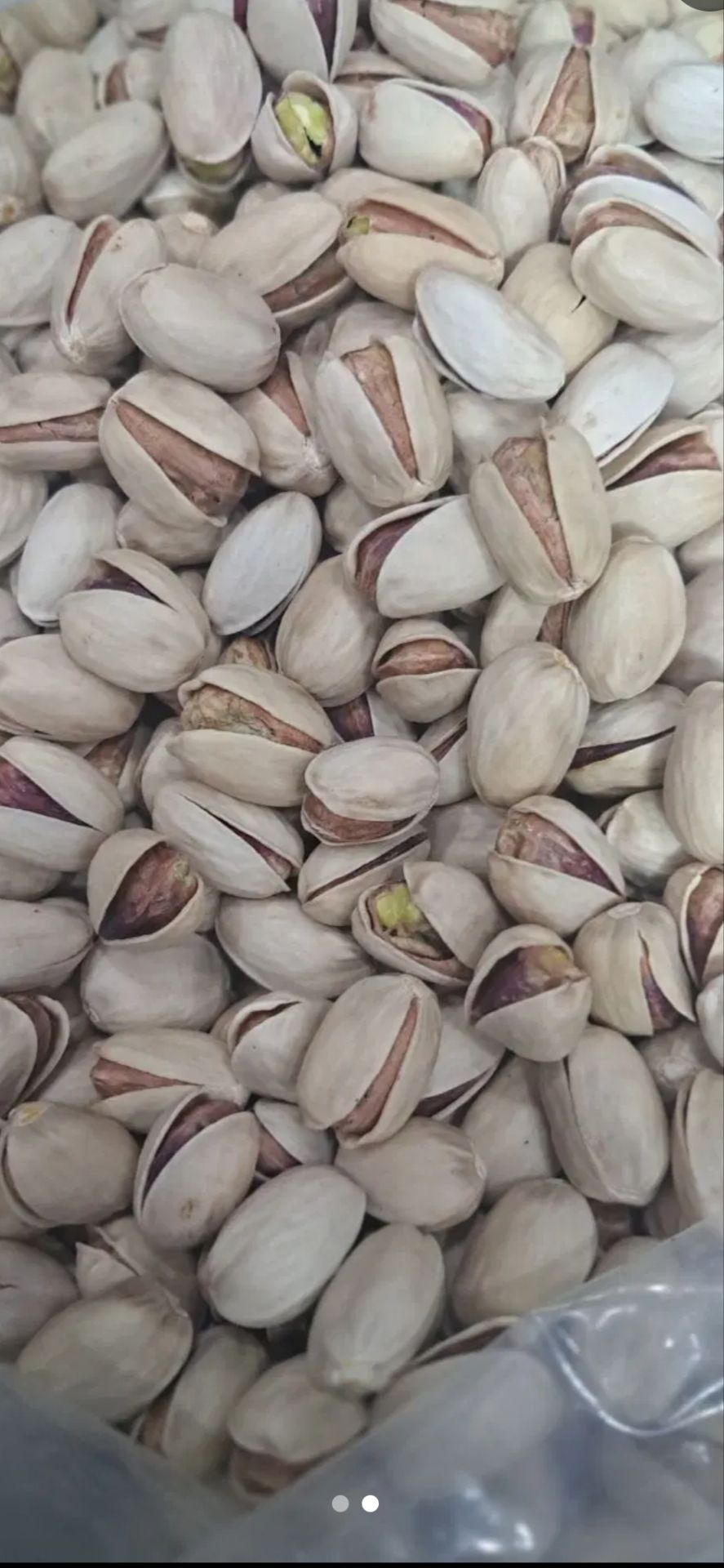 فروش پسته بادامی