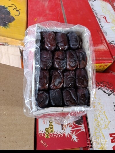 فروش خرما