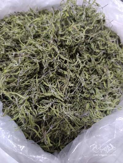 فروش مرزه (گیاه‌ دارویی)