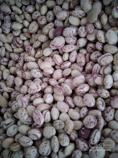 فروش لوبیا چیتی