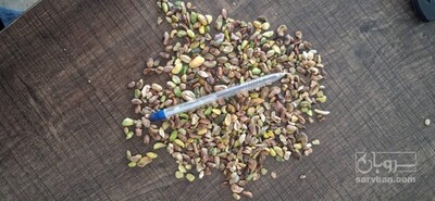 فروش مغز پسته سالم