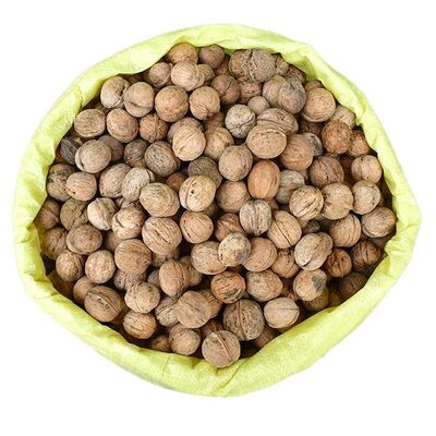 فروش گردو