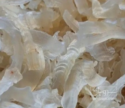 فروش کتیرا (گیاه‌ دارویی)