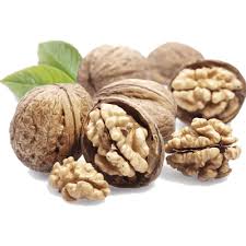 فروش گردو