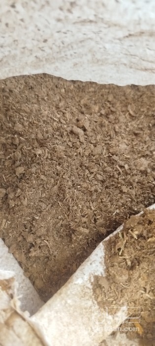 فروش تفاله چغندر