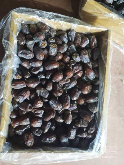 فروش خرما