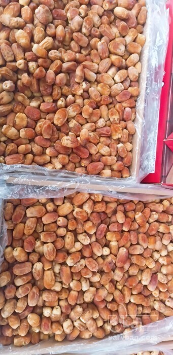 فروش خرما