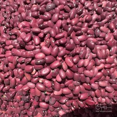 فروش لوبیا قرمز