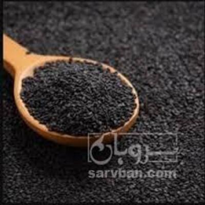 فروش  سیاه دانه