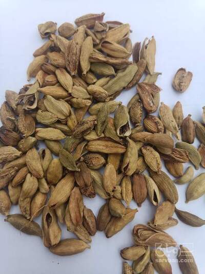 فروش هل (گیاه‌ دارویی)
