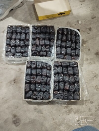 فروش خرما