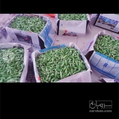 فروش بامیه