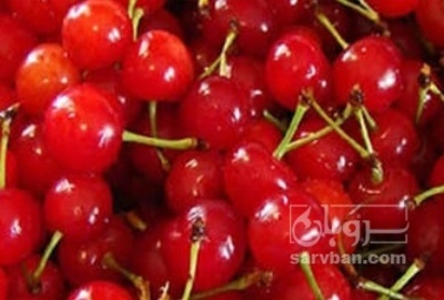 فروش آلبالو