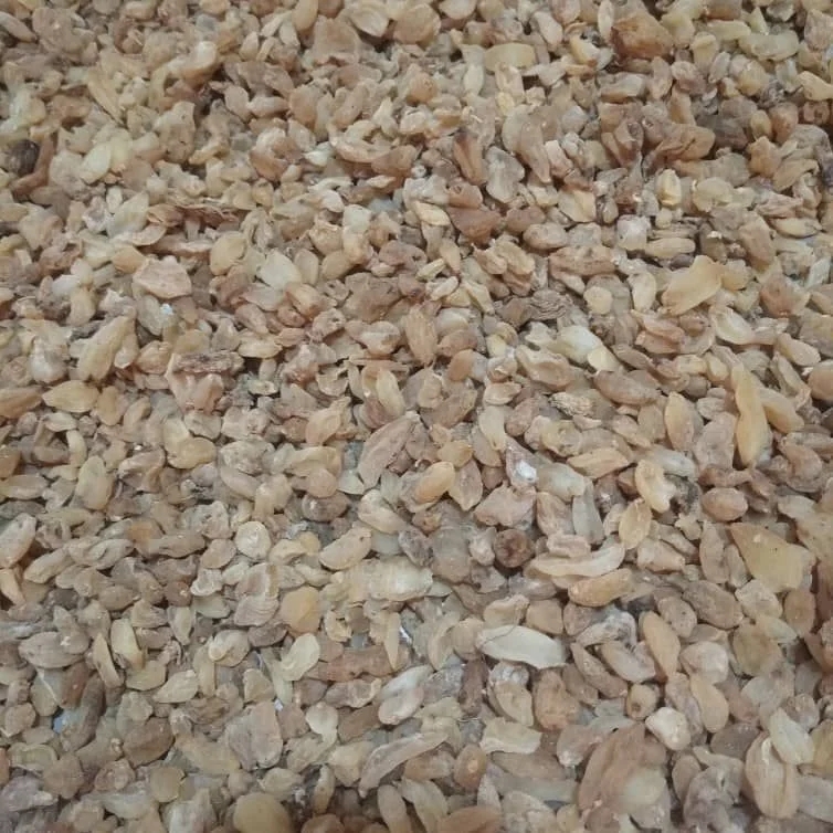 فروش ثعلب (گیاه‌ دارویی)