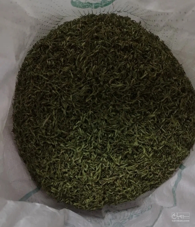 فروش آویشن خشک (گیاه‌ دارویی)