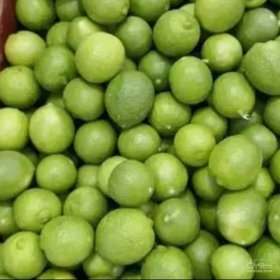 فروش لیمو ترش