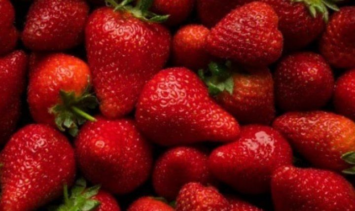 فروش توت فرنگی منجمد