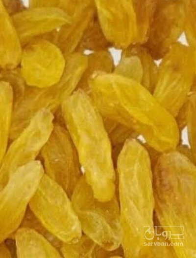 فروش کشمش گلدن