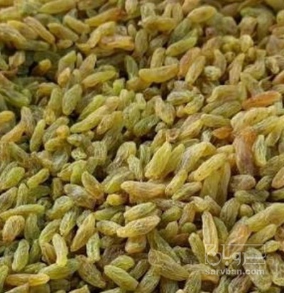 فروش کشمش سبز قلمی