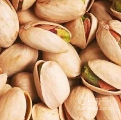 فروش پسته اکبری