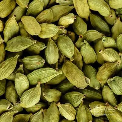 فروش هل (گیاه‌ دارویی)