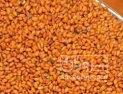 فروش خاکشیر (گیاه‌ دارویی)