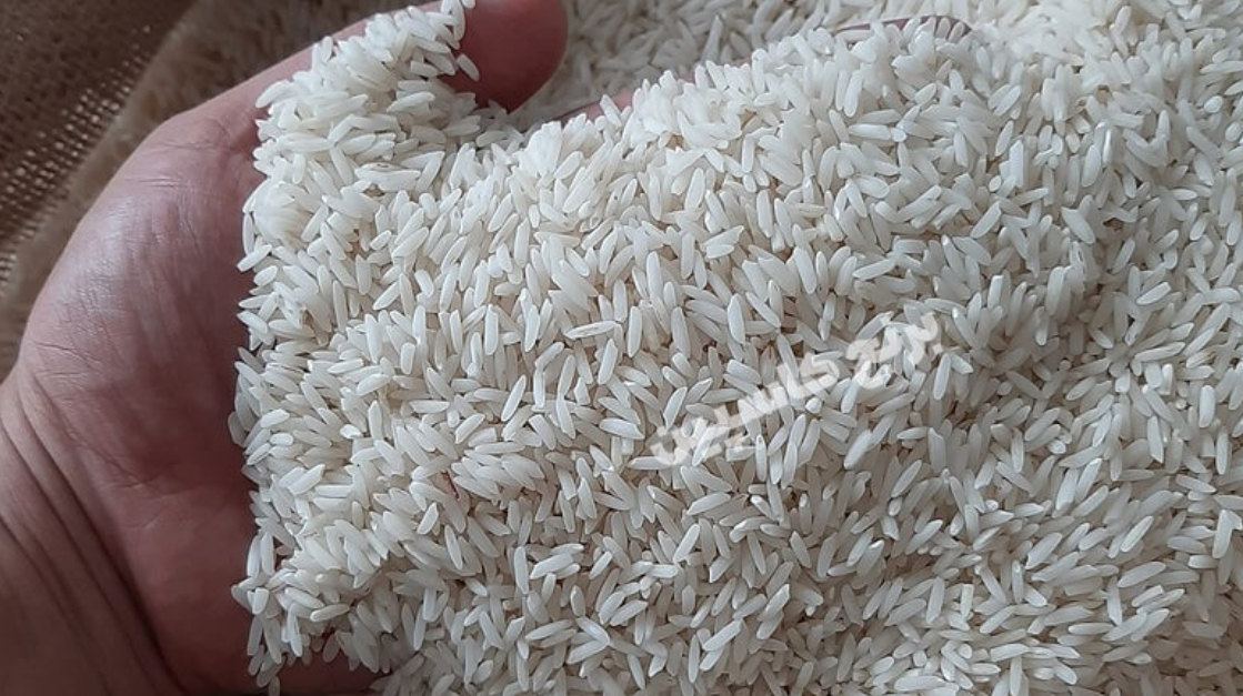 فروش برنج کامفیروز