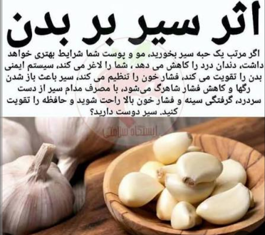 فروش سیر